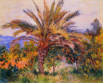  Claude Pintura - Una palmera en Bordighera Claude Monet
